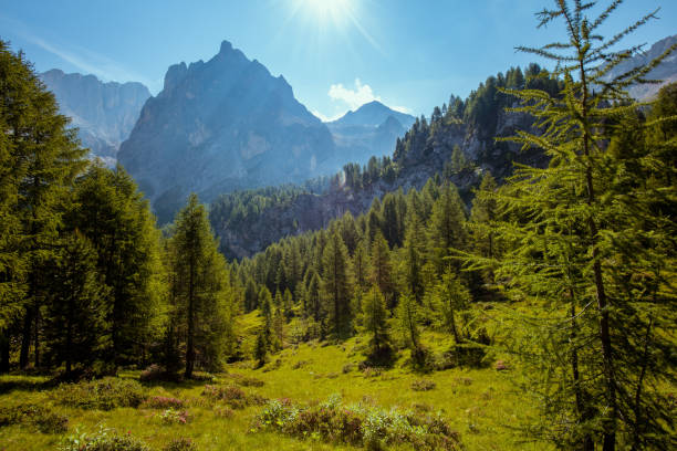 istock landscape with mountains, meadow and trees 1490730623