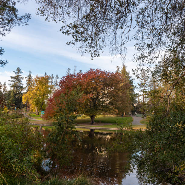 istock Autumn at UC Davis arobretum 1490732040