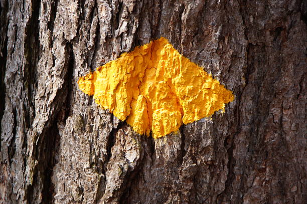 istock hiking trail yellow sign 149073333