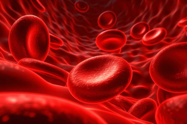 Red blood cells in vein,3d renderingScience background ,3D illustration stock photo