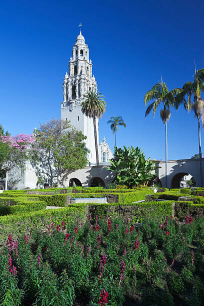 istock Flowers in Balboa Park, San Diego 149073731