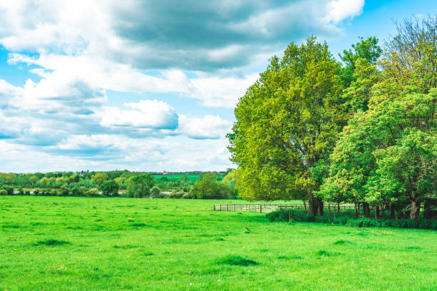 Summer Landscape in Ouse Valley Park, UK
