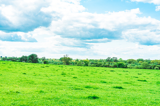 Summer Landscape in Ouse Valley Park, UK