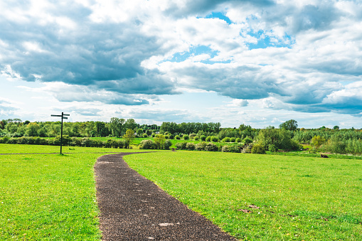 Country road passing straight through green fields, small green hills in distance, white clouds and blue sky, late spring landscape