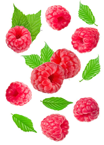 istock flying ripe raspberry with green leaf isolated on white background. macro. clipping path 1490739859