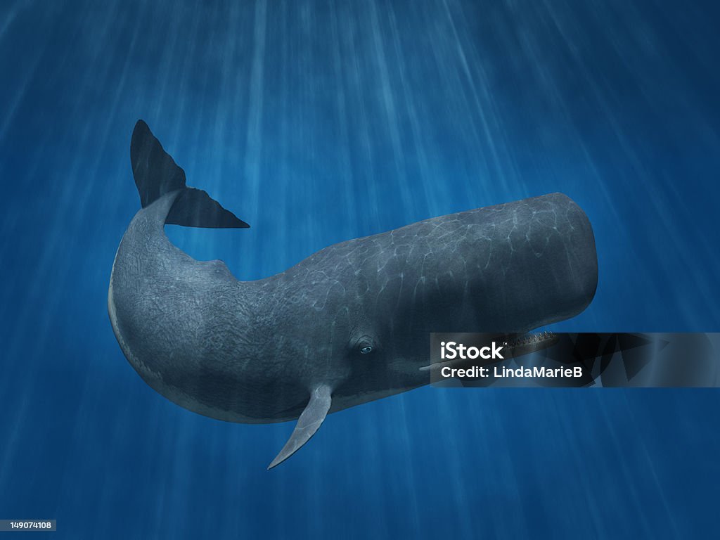 Sperm Whale 3D render depicting a sperm whale undersea. Sperm Whale Stock Photo