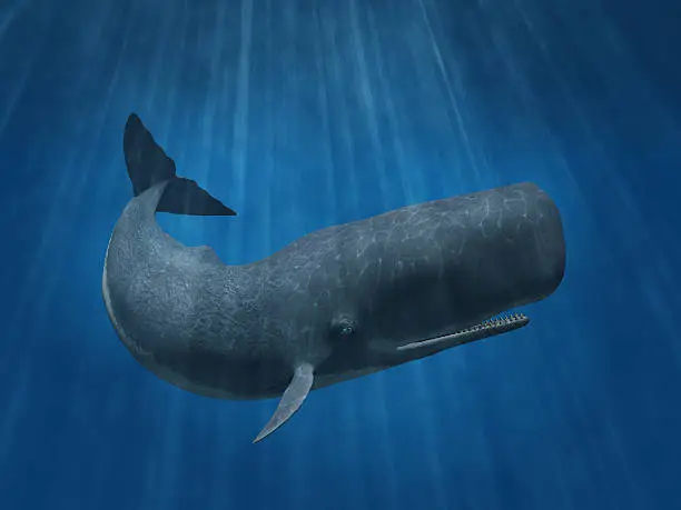 3D render depicting a sperm whale undersea.