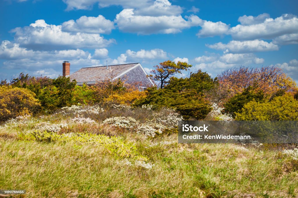 Cape Cod Rrof Cape Cod Dune Landscape Stock Photo - Download Image Now - Architecture ...