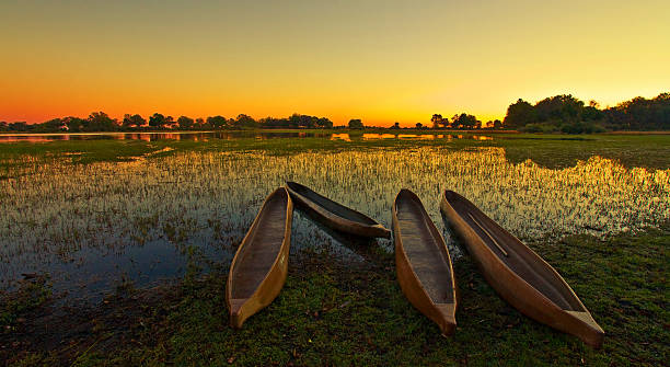 Sunrise over the Okavango Delta Sunrise over the Okavango Delta, Botswana delta stock pictures, royalty-free photos & images