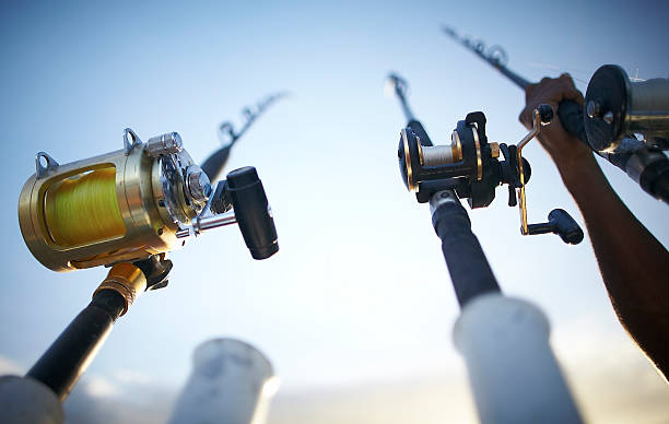 Fishing rods early in the morning stock photo