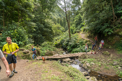 Small group of tourists hiking over small wooden bridge in rain forest in Faial da Terra, the path to the waterfall Salto De Prego. Sao Miguel island in Azores