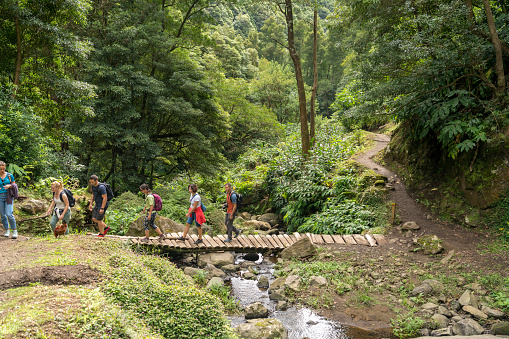 Pooh Sticks bridge were Pooh sticks originated located in the One Hundred Acre wood in Ashdown Forest near Hartfield.