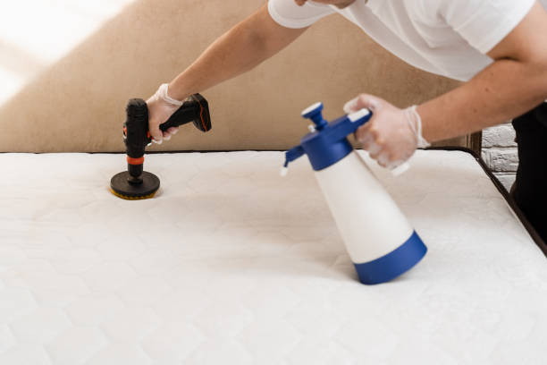 istock Spraying and smearing detergent on white mattress using drill with brush for dry cleaning. Applying detergent on mattress for dry cleaning. 1490751573