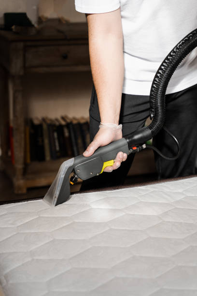 istock cleaner is extracting dirt from mattress using dry cleaning extractor machine. Cleaning mattress using extractor machine for dry clean at home. 1490751676