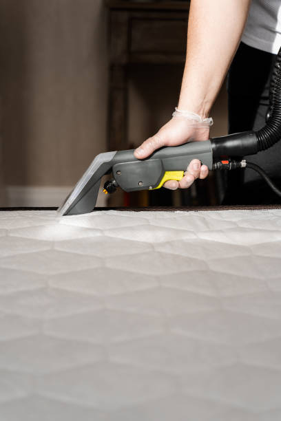 istock cleaner is extracting dirt from mattress using dry cleaning extractor machine. Cleaning mattress using extractor machine for dry clean at home. 1490751677