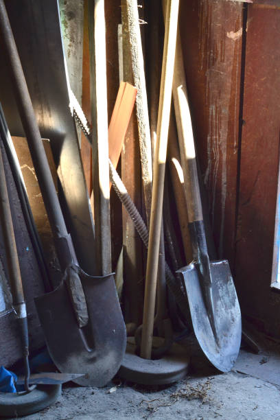istock in the cell there are tools for work in the garden. shovel 1490756703
