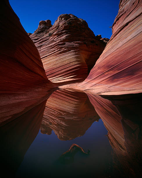 The Wave, Arizona Near the  Wave at the Paria Wilderness in Northern Arizona. the wave arizona stock pictures, royalty-free photos & images