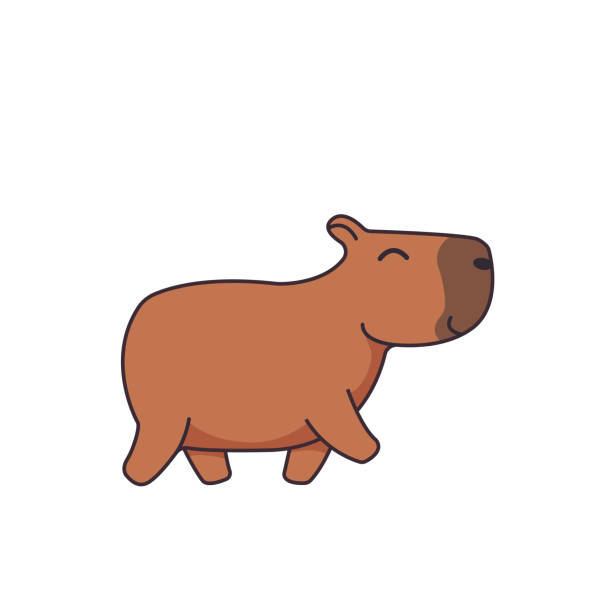 Vector cute capybara isolated on white background vector graphics Vector cute capybara isolated on white background vector graphics capybara stock illustrations