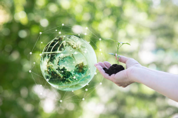 istock The concept of supporting nature and protecting the ecology. 1490767501