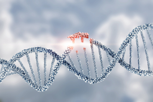 Collapsing DNA molecules on a blurred background.