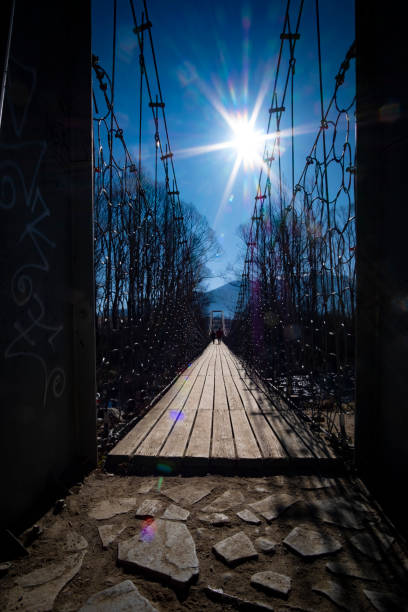 istock Hardwood timber plank floor on a pedestrian bridge with sunlight shining flare 1490770513
