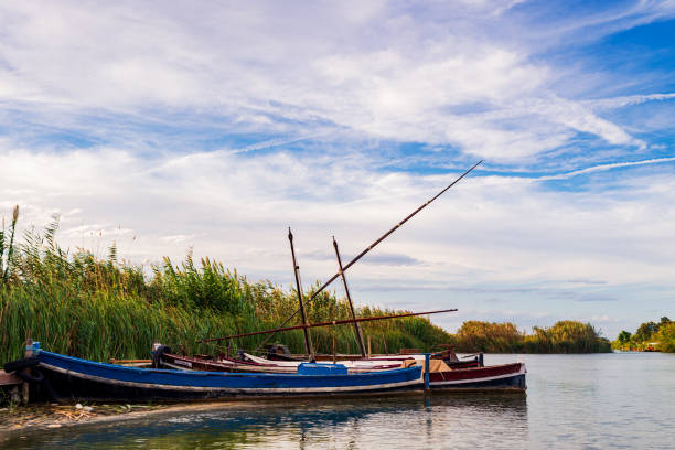 istock Jetty of the valencian lagoon 1490772041