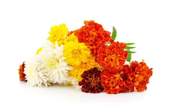 istock Bouquet of different flowers. 1490772218