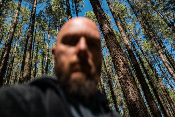 Deep into a forest \
