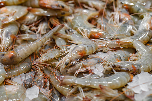 Raw shrimp or prawns on ice at fish supermarket, selective focus