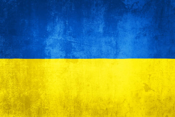 우크라이나 국기의 그런지 그림 - 11262 뉴스 사진 이미지