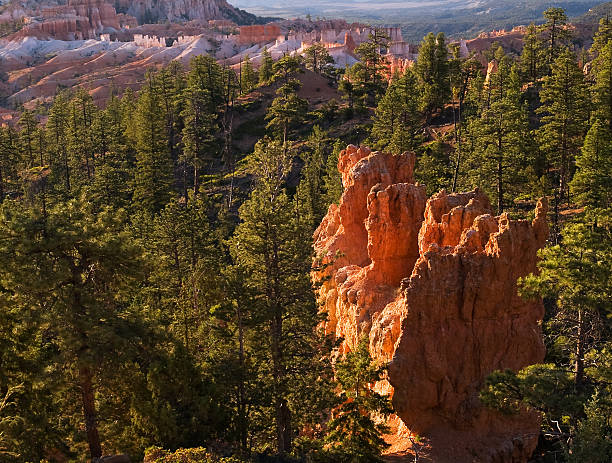 Bryce Canyon Utah sunrise stock photo