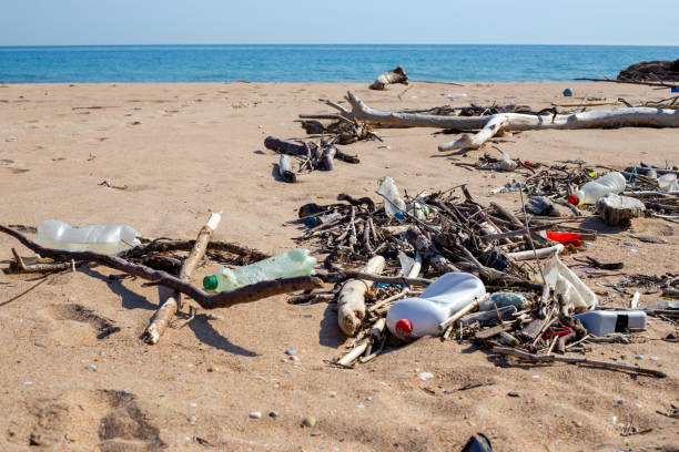 istock garbage beach. Sticks, branches and plastic bottles lie on the sand on the seashore 1490778689