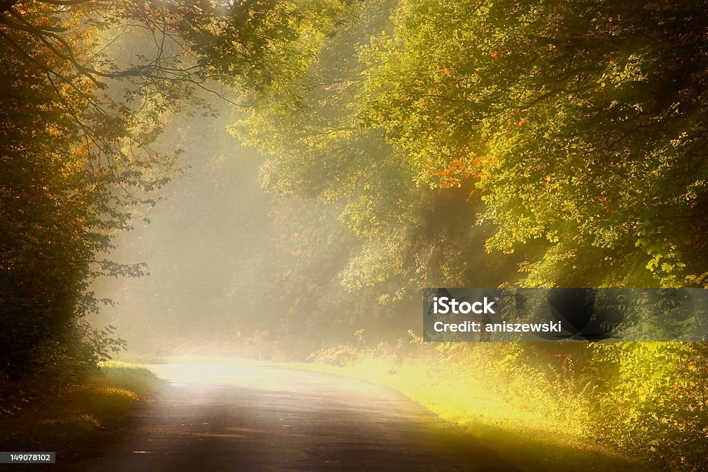 Strada di campagna all'alba - Foto stock royalty-free di Autunno