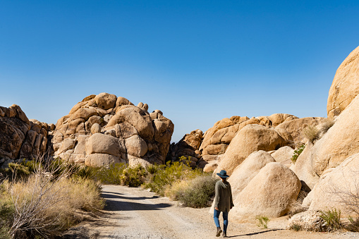 This is a photograph of a woman walking along a dirt road lined with rock formations in the Mojave desert landscape of Joshua Tree National Park in California during springtime.