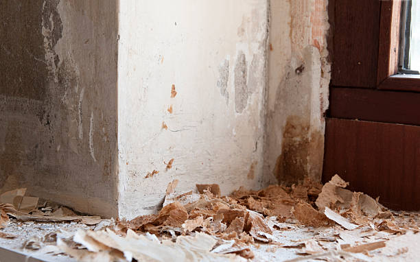 istock Wallpaper trash from home renovating 149078281