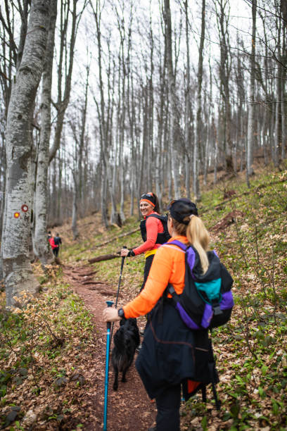 istock Mature women having a good time on a hike 1490783257