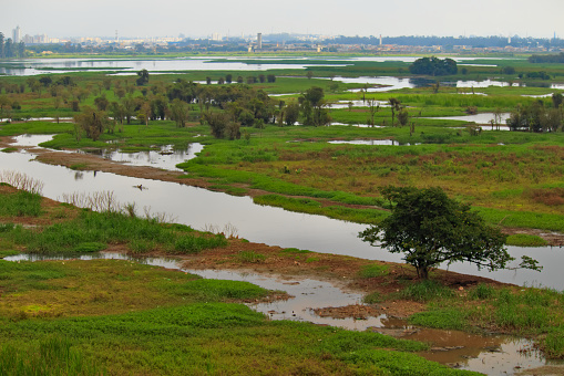 View along waterfront and Mekong river in Chiang Kong, Chiang Rai