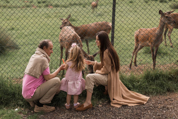 istock Exciting experience. Cute little girl watching and stroking young dappled deer with food while spending great time with her family in zoo. National Park. Animals 1490785353