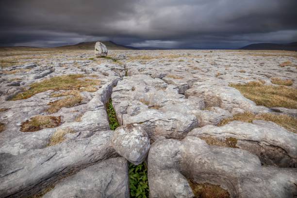 rocas erráticas glaciales en twistleton scar. yorkshire dales. - twistleton scar fotografías e imágenes de stock