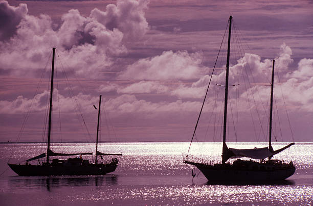 Yachts silhouetted against the ocean stock photo
