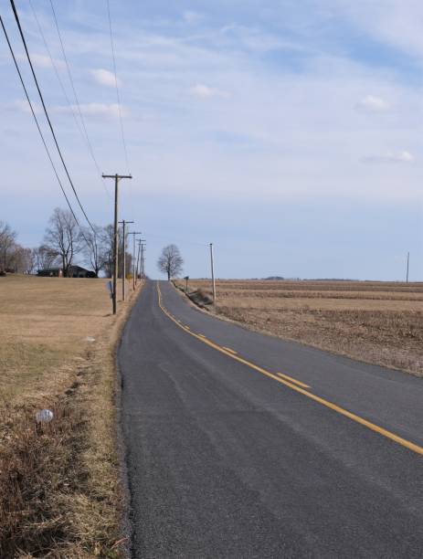 istock Long deserted country road 1490786339