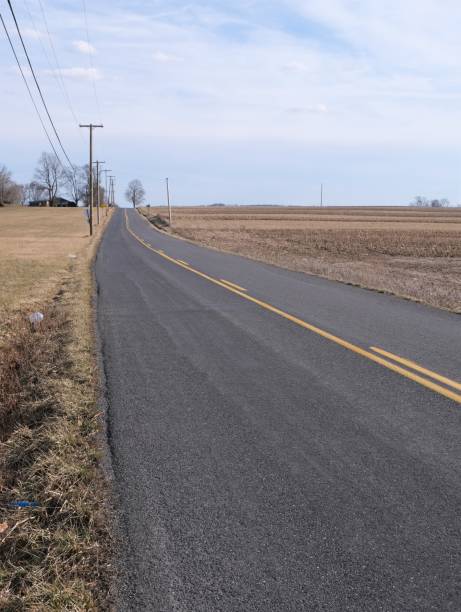 istock Long deserted country road 1490786340