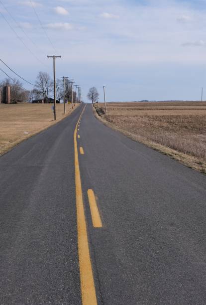 istock Long deserted country road 1490786349