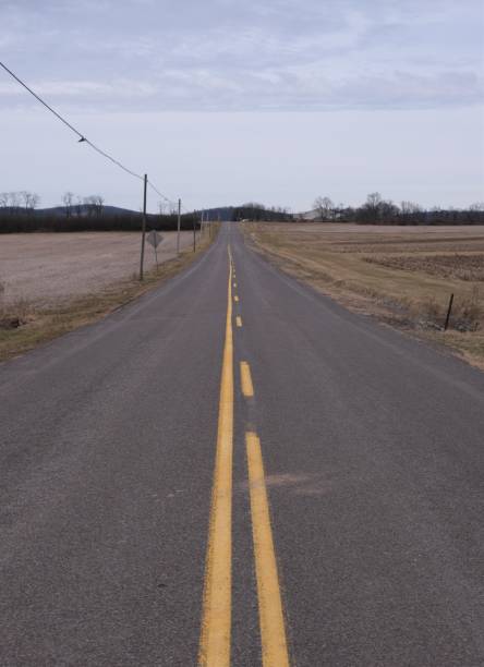 istock Long deserted country road 1490786374