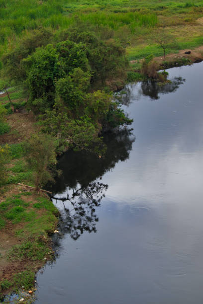 istock verdant trees reflected in the calm waters of the Tiete River. 1490787826