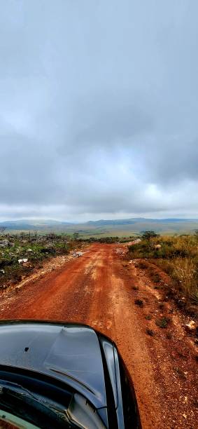 istock Car in wild road 1490790187
