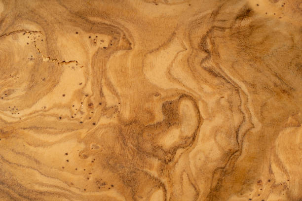 istock Olive Wood Texture Background, Solid Wooden Burr or Burl Pattern, Burled Wood Wallpaper with Copy Space 1490796134