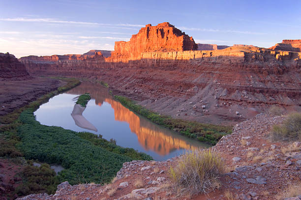 Colorado River Reflection stock photo