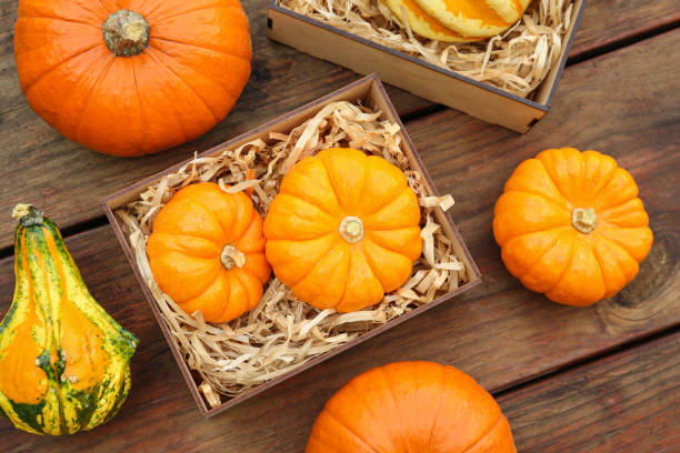 istock Crate and many different pumpkins on wooden table, flat lay 1490797145