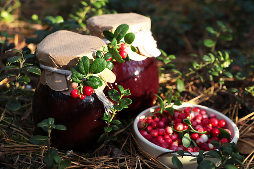 Jars of delicious lingonberry jam and red berries outdoors